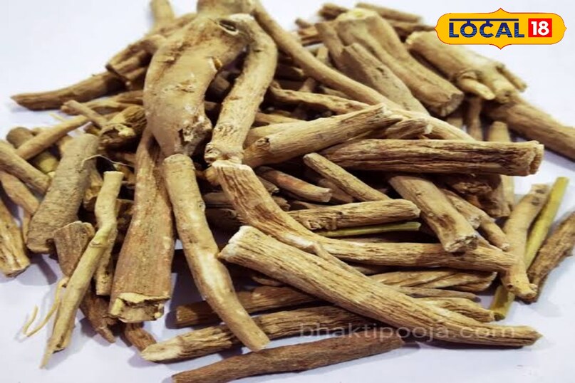 अश्वगंधा अश्वगंधा
