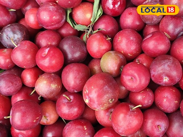 उत्तराखंड