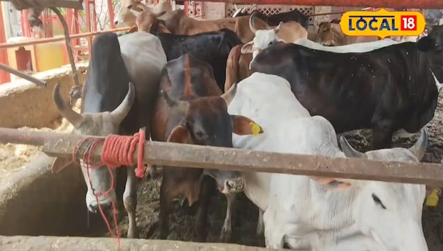 गौमुट्रा गौमुट्रा