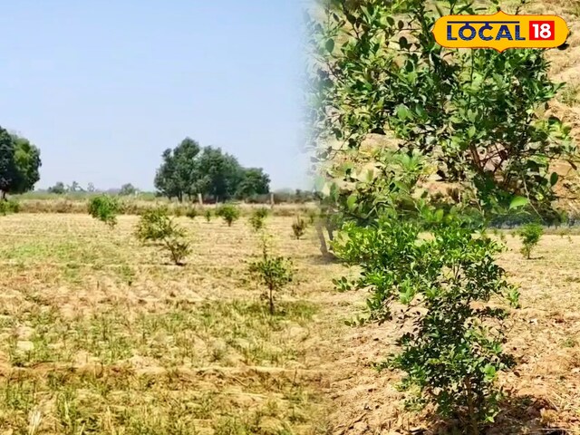 चट्टान का