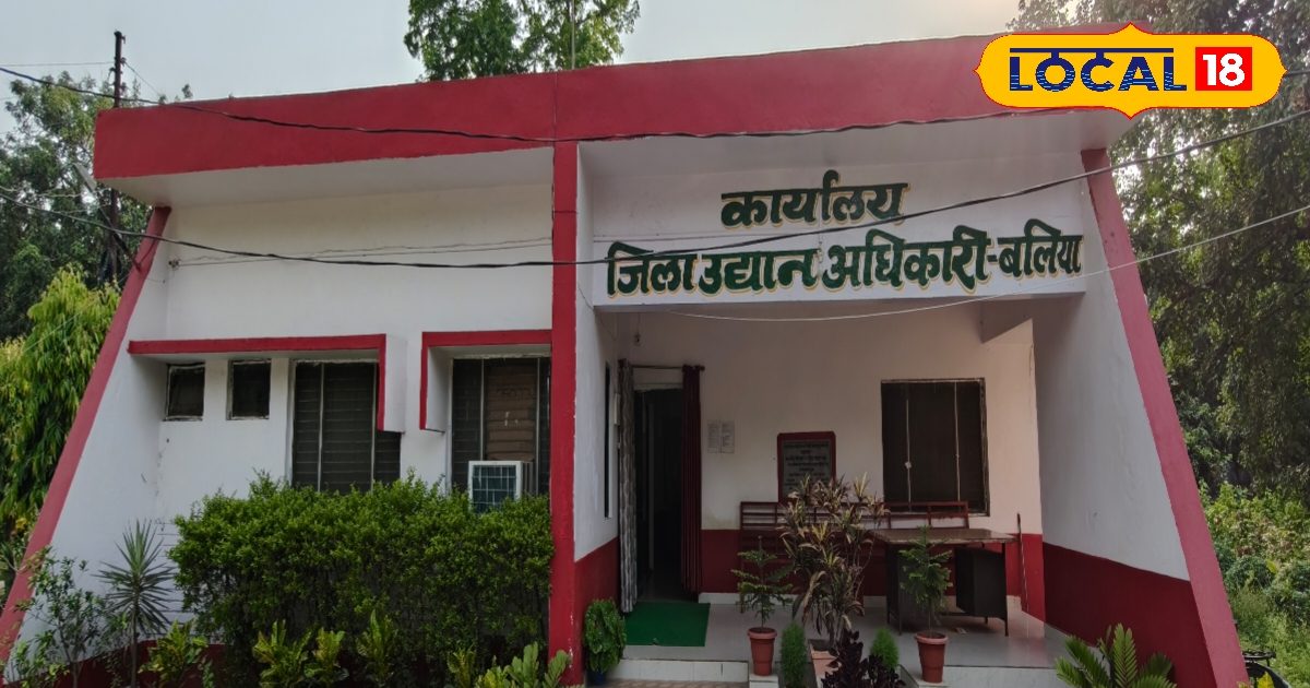 किसानों की बल्ले-बल्ले….बागवानी के लिए मिल रहा 50% तक अनुदान, फटाफट ऐसे उठाएं लाभ