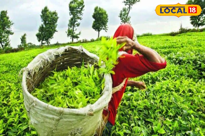 NEWS18 NEWS18
