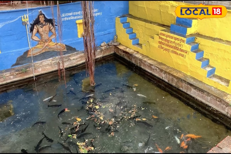 news 18 news 18