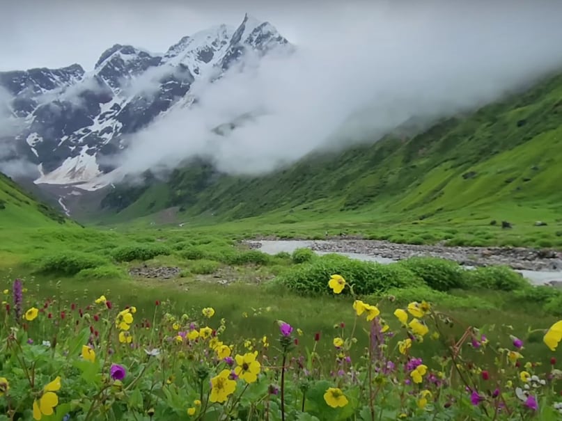 Mandani Valley: One of the most beautiful trek in Uttarakhand Mandani Valley: One of the most beautiful trek in Uttarakhand