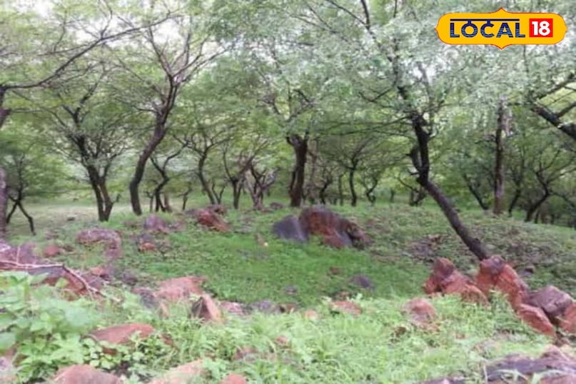 Hamirgarh Eco Park