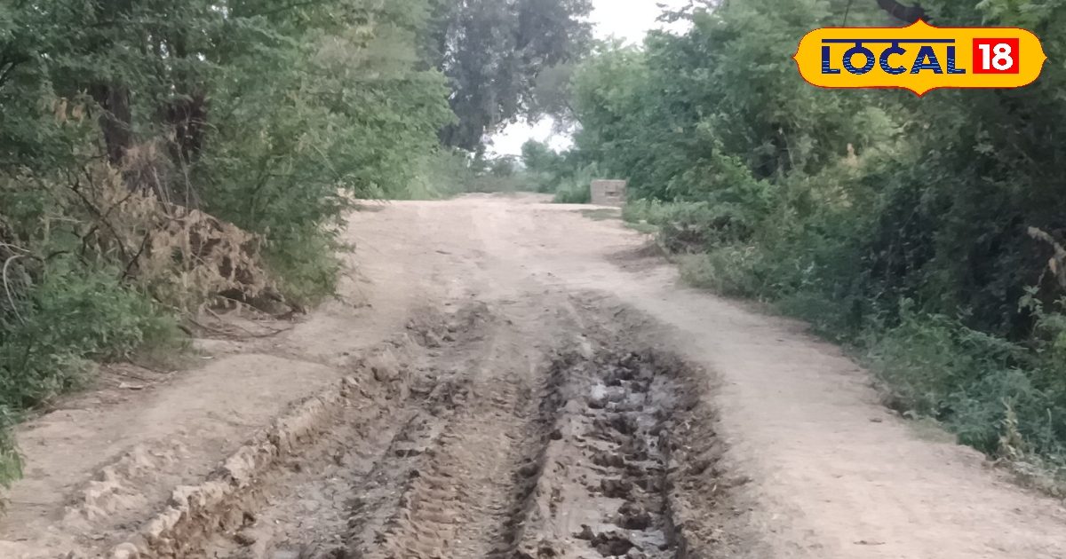Ground report: मथुरा का ब्रज चौरासी कोस मार्ग बदहाल, खतरे के बीच हो रही परिक्रमा; लोगों की योगी बाबा से मरम्मत कराने की मांग