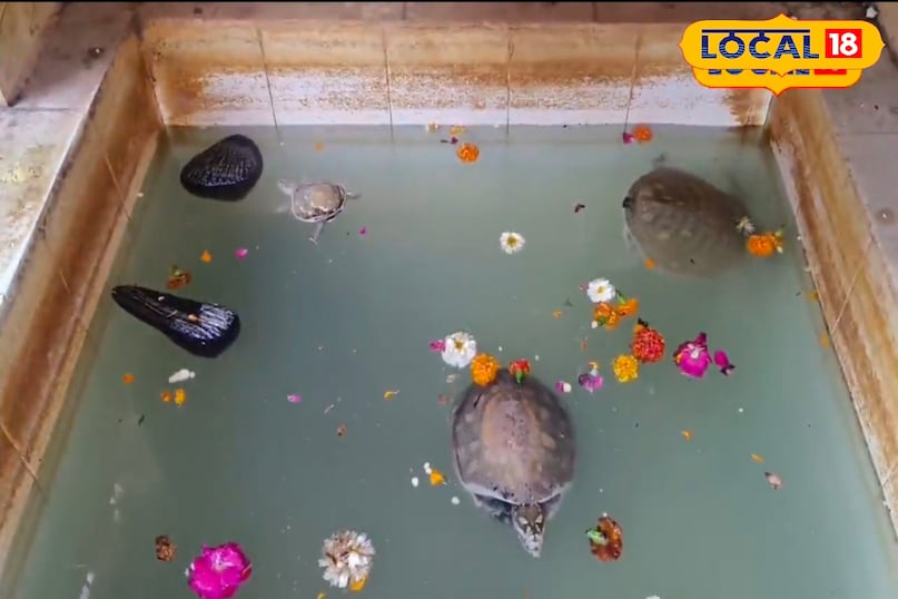 अलखनाथ मंदिर. अलखनाथ मंदिर.