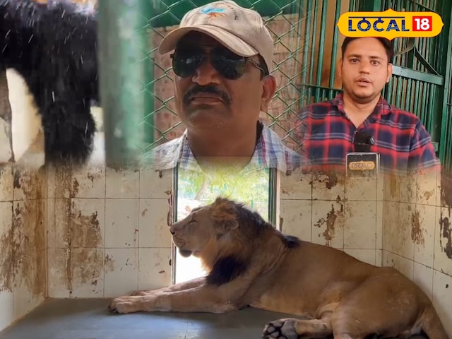 मचिया