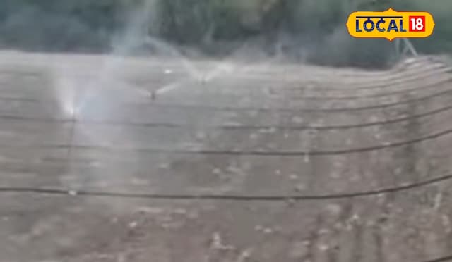 Lakhimpur kheri News : मिट्टी सेफ, पैदावार बंपर…खेती की सूरत बदल देगा सिंचाई का ये तरीका, सरकार भी दे रही पैसे Lakhimpur kheri News : मिट्टी सेफ, पैदावार बंपर…खेती की सूरत बदल देगा सिंचाई का ये तरीका, सरकार भी दे रही पैसे