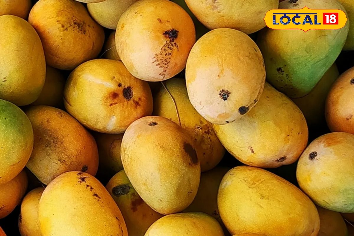 Summer Fruits: नौतपा से पहले तापमान के साथ फलों के दामों में भारी उछाल
