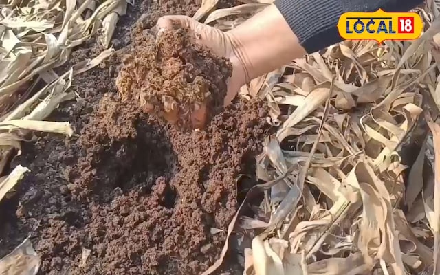 वर्मी वर्मी