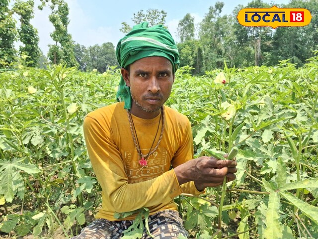 कम लागत में बंपर मुनाफे वाली खेती, 10 हजार लगाओ और ढाई लाख कमाओ, वो भी 45 दिनों में…