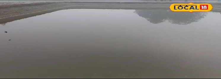 खेती को कहा अलविदा, मछलियों ने बदली किस्मत! अमेठी के किसानों की बेमिसाल कामयाबी