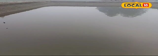 खेती को कहा अलविदा, मछलियों ने बदली किस्मत! अमेठी के किसानों की बेमिसाल कामयाब
