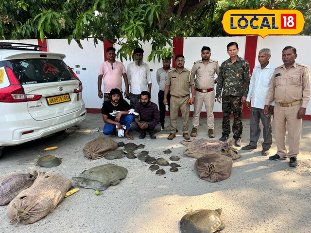 पीलीभीत में बड़े कछुआ तस्कर गिरोह का भंडाफोड़, लगभग 150 कछुए बरामद पीलीभीत में बड़े कछुआ तस्कर गिरोह का भंडाफोड़, लगभग 150 कछुए बरामद
