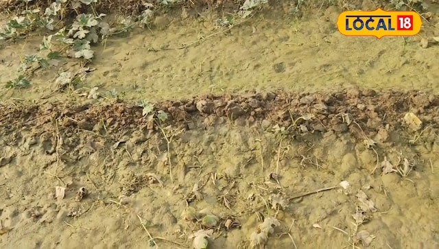 धूप में धूप में