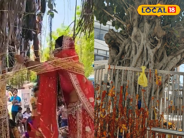 वट