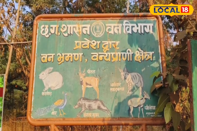 जिले का मनगटा वन चेतना केंद्र घुमने के लिए अच्छी जगह जिले का मनगटा वन चेतना केंद्र घुमने के लिए अच्छी जगह