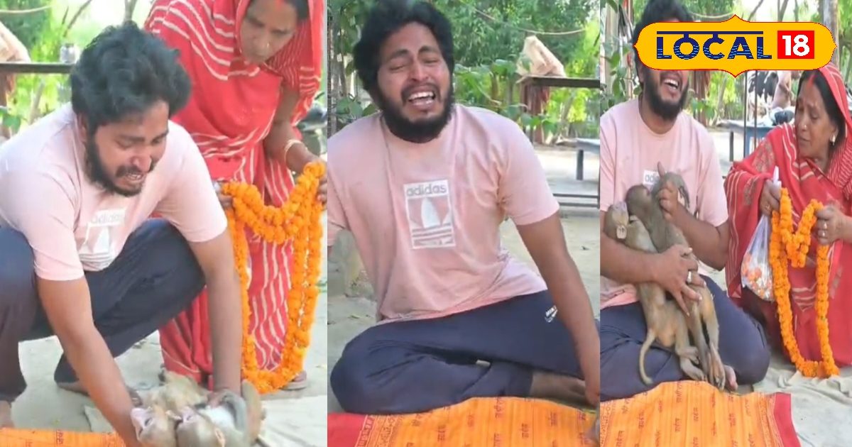 Viral Video: जानवर और इंसान का अटूट प्रेम, वीडियो देख आप भी हो जाएंगे इमोशनल, नहीं रुकेंगे आंसू