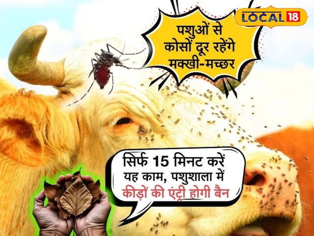 पशुओ