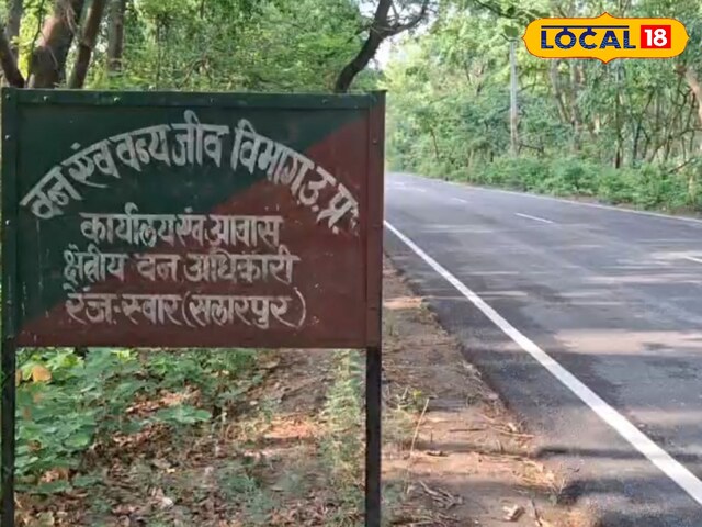 रामपुर के जंगल में रात को हो रहा था यह काम, अचानक पहुंची वन विभाग की टीम, फिर मच गया हड़कंप