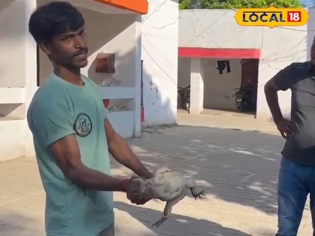Rampur CO ऑफिस में हड़कंप, देखते ही कांपी पुलिस, सिंटू से मांगी मदद, आई सांस में सांस