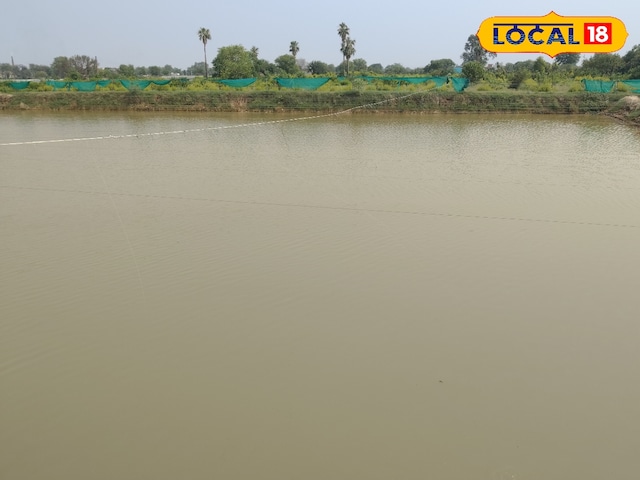 खेती खेती