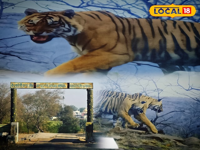कैलदेवी