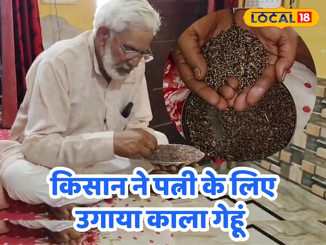 अलवर अलवर