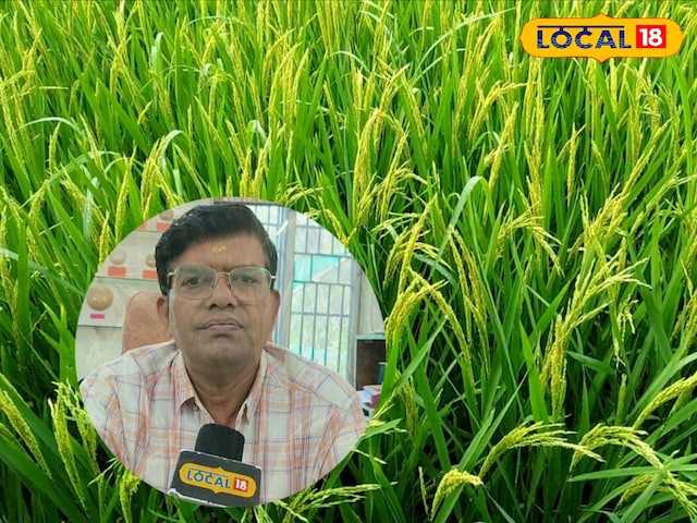 फाइल फाइल