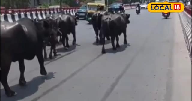 अजब