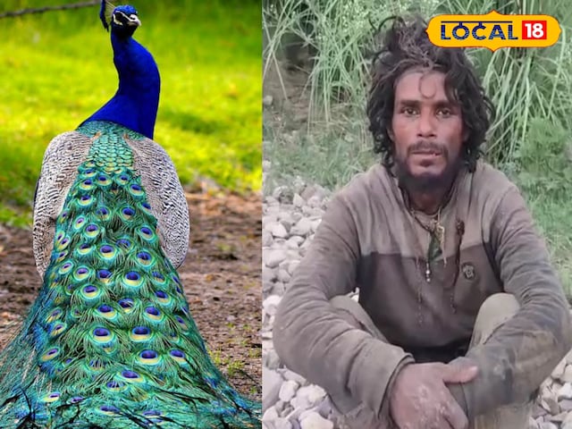 भूख भूख