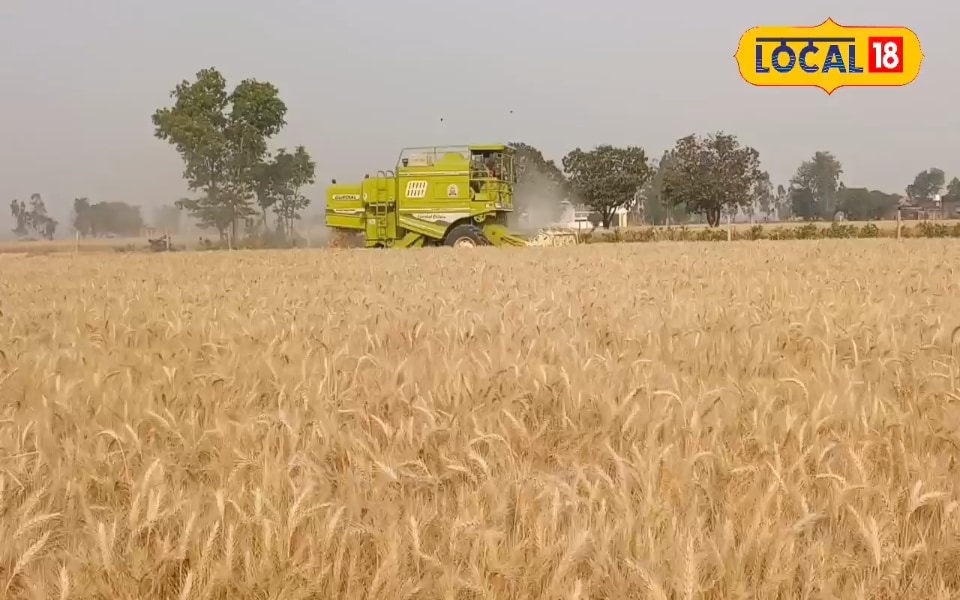 Shahjahanpur News : आने वाली है PM किसान की 20वीं किस्त, जानें एक परिवार में कितने लोग ले सकते हैं लाभ