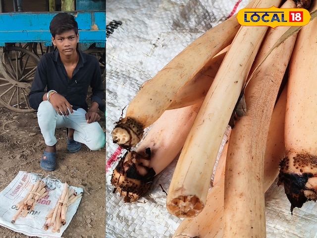 गर्मी गर्मी
