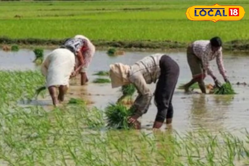 moradabad news,hindi news,up news,local news, मुरादाबाद समाचार, हिंदी समाचार, यूपी समाचार, लोकल समाचार। 