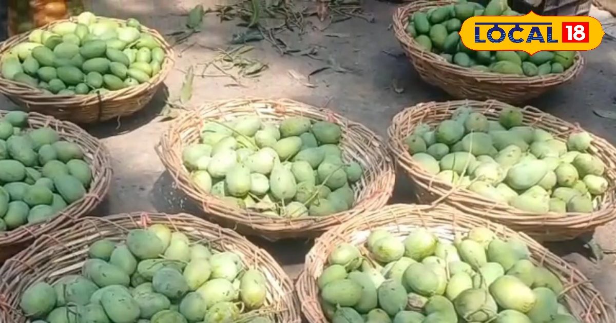 Ground Report : आंधी-बारिश से सहारनपुर में आम के बाग हुए तबाह, 30 % हुआ नुकसान! किसान बोले- अगर फिर हुआ ऐसा तो…