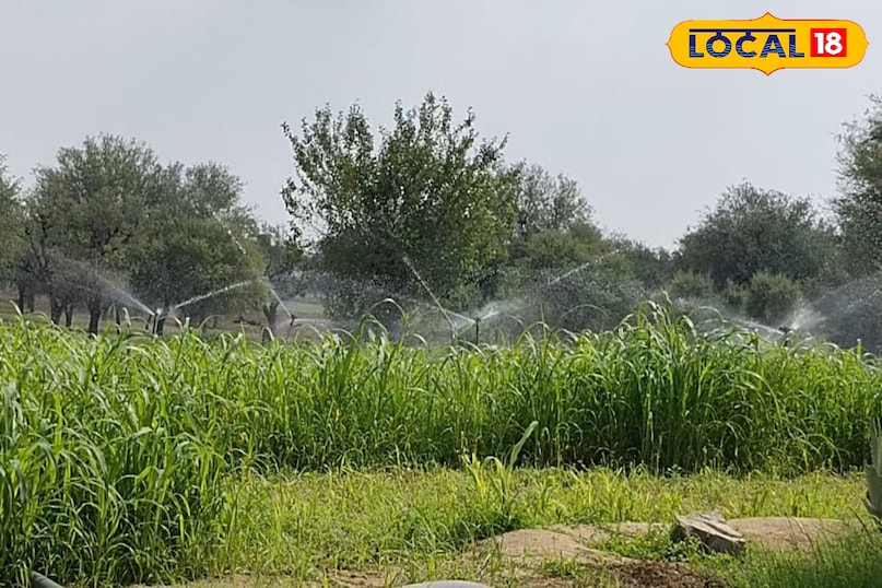 कृषि युक्तियाँ 