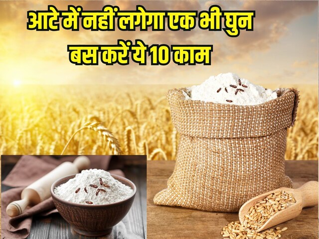 घुन और कीड़े से आटे को बचाने के 10 घरेलू नुस्खे, महीनों रहेगा आटा फ्रेश