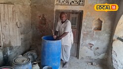 अमृतपानी से लहलहा उठेगी फसल, जैविक कीटनाशक की तरह करेगा काम; जानें विधि