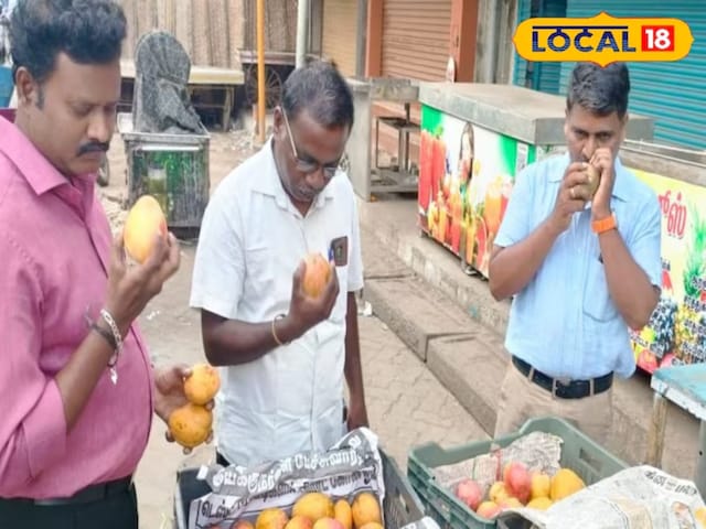 जहर खाने जैसा! कार्बाइड से पकाए जा रहे आम, जांच में चौंकाने वाले खुलासे जहर खाने जैसा! कार्बाइड से पकाए जा रहे आम, जांच में चौंकाने वाले खुलासे