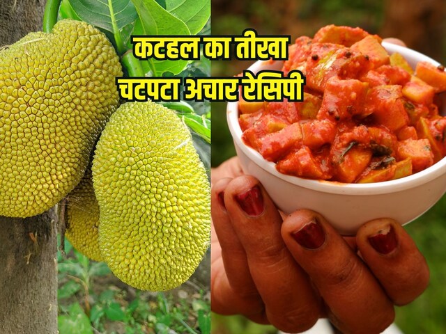 How to make Kathal ka Achar: पारंपरिक तरीके से बनाएं घर पर मसालेदार कटहल का अचार, बनेगा बेहद ही सॉफ्ट