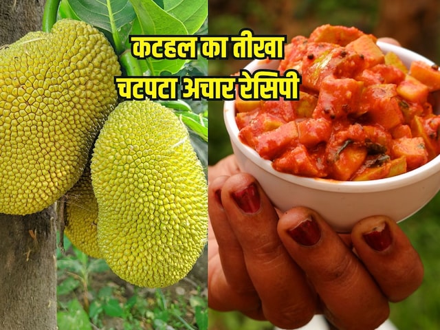 How to make Kathal ka Achar: पारंपरिक तरीके से बनाएं घर पर मसालेदार कटहल का अचार, बनेगा बेहद ही सॉफ्ट How to make Kathal ka Achar: पारंपरिक तरीके से बनाएं घर पर मसालेदार कटहल का अचार, बनेगा बेहद ही सॉफ्ट