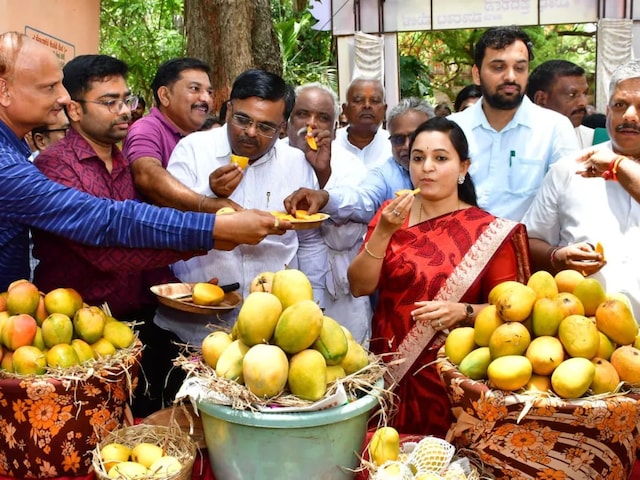 इन्हें कहते हैं आम के दीवाने! एक आम के लिए 10 हजार रुपये दे रहे; इतना खास क्यो
