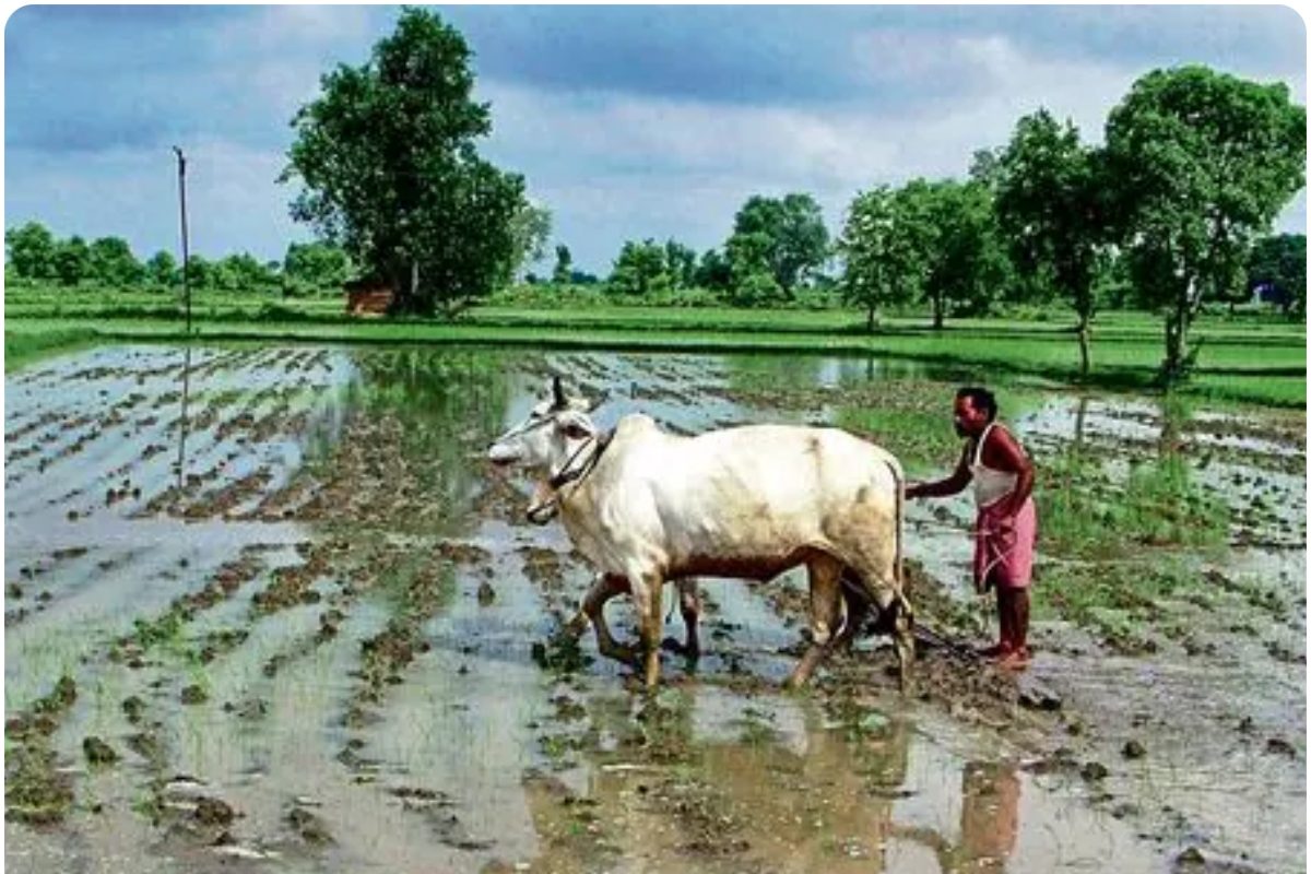 केरल में समय से बहुत पहले दस्तक देगा मानसून IMD ने बताया- कितनी होगी बारिश
