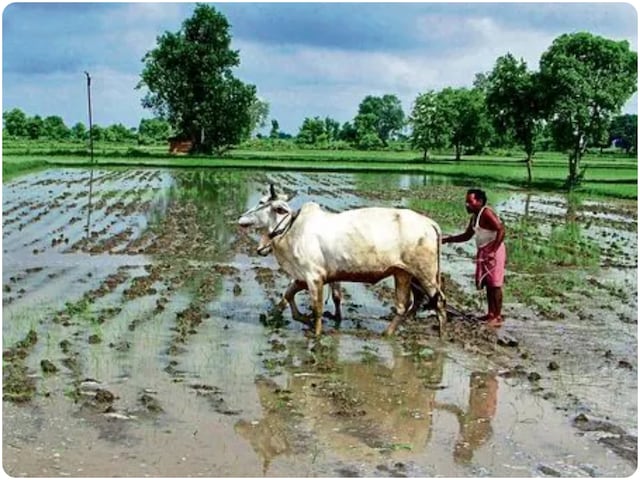 केरल में समय से बहुत पहले दस्तक देगा मानसून, IMD ने बताया- कितनी होगी बारिश