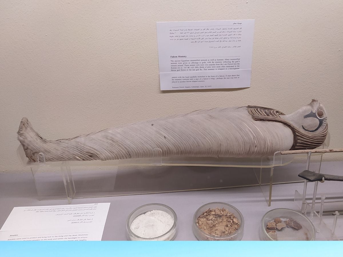 Mummy, ममी, Well preserved mummy, Mummification, शव संरक्षण, Preservation Techniques, शवलेपन, Austria Mummy, ऑस्ट्रिया ममी, embalming method