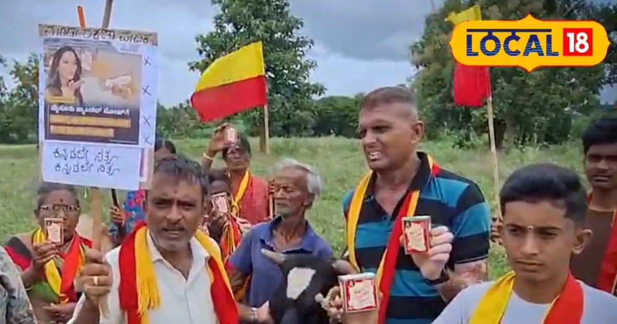 मैसूर सैंडल सोप विवाद: तमन्ना भाटिया जिस साबुन की ब्रांड एंबेसडर बनी, उससे गाय को नहलाया…