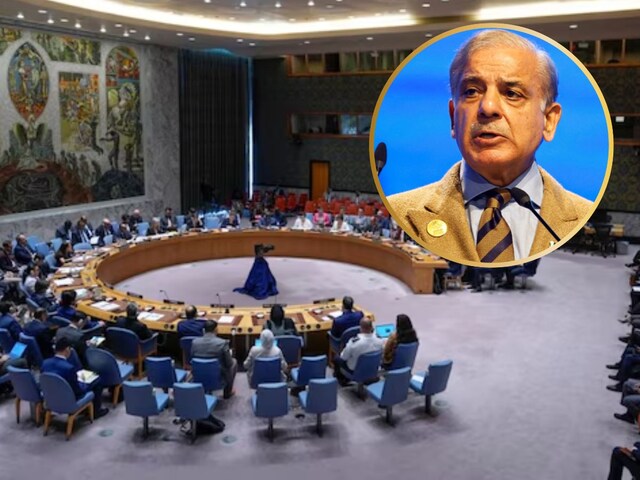 धर्म पूछकर मारा, लश्कर का हाथ...पहलगाम अटैक पर UNSC में लताड़ा गया पाकिस्तान