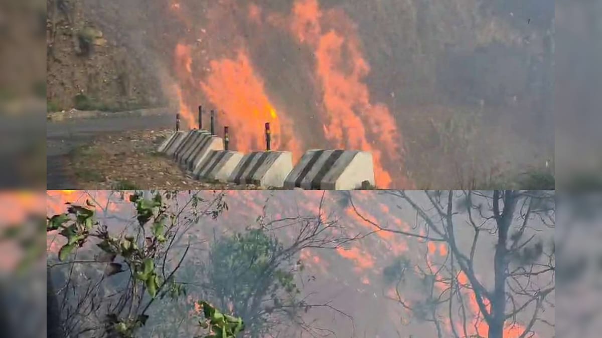 रियासी के पहाड़ों में आग का तांडव, सलाल डैम के पास मची अफरातफरी, देखें खौफनाक वीडियो