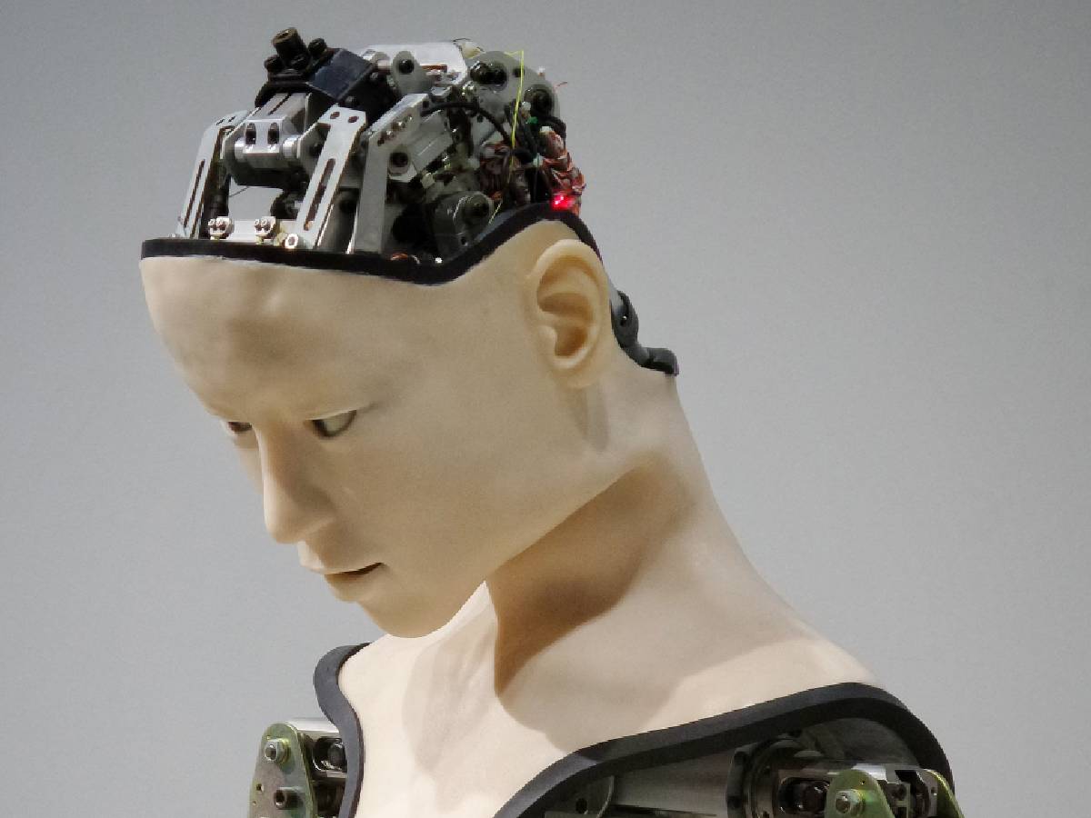 Laziness in Robots, use of Robots, Lazy Robots, आलसी रोबोट, Robot Efficiency, रोबोट की कार्यक्षमता, Robot Programming, रोबोट प्रोग्रामिंग, Household Robots, घरेलू रोबोट
